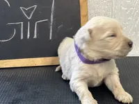 processed/2f021e86-2d30-4b20-a3a8-f524f08915f0/listing/3d461686-3643-4c10-990a-be900efc297b/43213fb4-f3d6-49bc-8edb-cef6bb7e286f