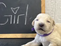 processed/2f021e86-2d30-4b20-a3a8-f524f08915f0/listing/3d461686-3643-4c10-990a-be900efc297b/47dde439-42ee-44a5-a308-2e12fb0b2c3b