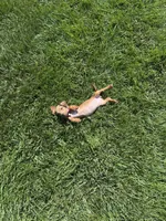 Pickles , a female Miniature Dachshund for sale in Yucaipa, CA – 4 of 4