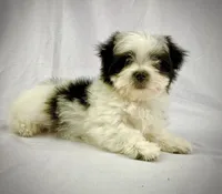 processed/2f0ce9ae-b385-4b29-9608-dfdc9efadb56/listing/37cd2953-f907-4d2f-a3af-9504fbddd725/53f9e5b9-a976-4112-8cf7-5d91eea59c37