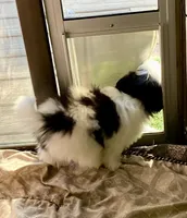 processed/2f0ce9ae-b385-4b29-9608-dfdc9efadb56/listing/37cd2953-f907-4d2f-a3af-9504fbddd725/580e2af7-e0bc-4c5a-8a75-6fe5c406bfa6