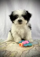 processed/2f0ce9ae-b385-4b29-9608-dfdc9efadb56/listing/37cd2953-f907-4d2f-a3af-9504fbddd725/c04a3cdd-99e7-4a8c-b229-9af4bc0709c3