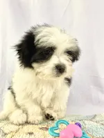 processed/2f0ce9ae-b385-4b29-9608-dfdc9efadb56/listing/37cd2953-f907-4d2f-a3af-9504fbddd725/d1e01f19-c96b-4d63-9f58-04bd3a8012dc