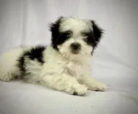 processed/2f0ce9ae-b385-4b29-9608-dfdc9efadb56/listing/37cd2953-f907-4d2f-a3af-9504fbddd725/e1e4fa0e-c944-4e1c-9a4f-33d90b88d2ef