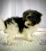 processed/2f0ce9ae-b385-4b29-9608-dfdc9efadb56/listing/c1b2df99-c046-4312-a5e1-9b30c8fe14ca/0c1edf2a-6ef4-45d6-90d0-9af84eff8ae4