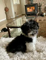 processed/2f0ce9ae-b385-4b29-9608-dfdc9efadb56/listing/c1b2df99-c046-4312-a5e1-9b30c8fe14ca/23834b7f-a6e3-4f8c-a8db-82e0302bdd1f