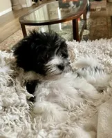 processed/2f0ce9ae-b385-4b29-9608-dfdc9efadb56/listing/c1b2df99-c046-4312-a5e1-9b30c8fe14ca/65b4b7c2-613e-464e-adca-0caaef79b800