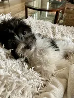 processed/2f0ce9ae-b385-4b29-9608-dfdc9efadb56/listing/c1b2df99-c046-4312-a5e1-9b30c8fe14ca/7259d8e2-6d1b-4a11-952c-7e0698cfa746