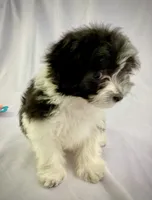 processed/2f0ce9ae-b385-4b29-9608-dfdc9efadb56/listing/c1b2df99-c046-4312-a5e1-9b30c8fe14ca/7ddfda2a-4238-4073-b50d-487f91aff911