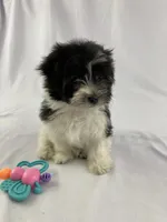 processed/2f0ce9ae-b385-4b29-9608-dfdc9efadb56/listing/c1b2df99-c046-4312-a5e1-9b30c8fe14ca/87ae6a76-4421-4ee9-bd1a-2e70fc48554b