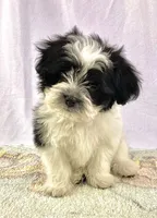 processed/2f0ce9ae-b385-4b29-9608-dfdc9efadb56/listing/e3b3348e-4c0e-4533-9542-d42b34827311/09a2e815-1073-4f21-9e4f-cba84ee38330