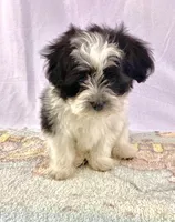 processed/2f0ce9ae-b385-4b29-9608-dfdc9efadb56/listing/e3b3348e-4c0e-4533-9542-d42b34827311/103d32fc-8e93-4371-8a27-4370d10e7799