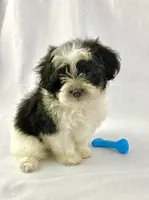 processed/2f0ce9ae-b385-4b29-9608-dfdc9efadb56/listing/e3b3348e-4c0e-4533-9542-d42b34827311/80e2656e-7210-4e2b-ada1-6d81b637a0d4