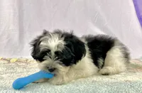 processed/2f0ce9ae-b385-4b29-9608-dfdc9efadb56/listing/e3b3348e-4c0e-4533-9542-d42b34827311/97f2809f-255c-4426-a0a6-2d80d8c00f01