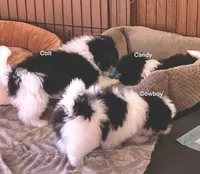 processed/2f0ce9ae-b385-4b29-9608-dfdc9efadb56/listing/e3b3348e-4c0e-4533-9542-d42b34827311/bd7c538a-d4bb-4358-a27e-ff85e01dfbea