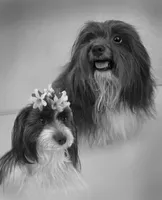 processed/2f0ce9ae-b385-4b29-9608-dfdc9efadb56/listing/e3b3348e-4c0e-4533-9542-d42b34827311/ccc94694-7668-4ab7-bb52-03f888cc8b43