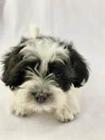 processed/2f0ce9ae-b385-4b29-9608-dfdc9efadb56/listing/e3b3348e-4c0e-4533-9542-d42b34827311/e58f49ac-a9da-4bd6-9d4d-c3c44daf9dbc