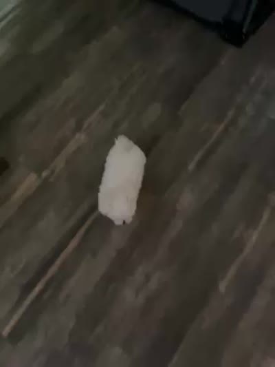 Facility video