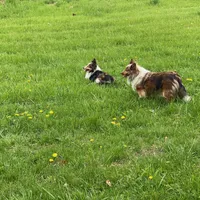 processed/2f173404-3687-4e38-a550-0381d7203226/facility/3b2dbdbd-3015-4d7c-8886-ecc23a92d721