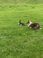 processed/2f173404-3687-4e38-a550-0381d7203226/facility/3b2dbdbd-3015-4d7c-8886-ecc23a92d721