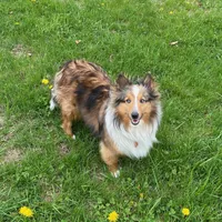 processed/2f173404-3687-4e38-a550-0381d7203226/facility/3e6b5caf-b257-4fd2-a321-7610589b9328