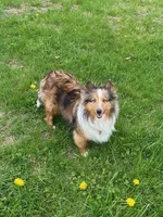 processed/2f173404-3687-4e38-a550-0381d7203226/facility/3e6b5caf-b257-4fd2-a321-7610589b9328