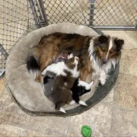 processed/2f173404-3687-4e38-a550-0381d7203226/facility/8844b8bc-4730-47a7-bc97-e7abdde81cc7