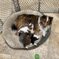 processed/2f173404-3687-4e38-a550-0381d7203226/facility/8844b8bc-4730-47a7-bc97-e7abdde81cc7