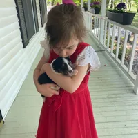 processed/2f173404-3687-4e38-a550-0381d7203226/facility/ad2c03c6-a06c-4a61-8223-d9b3850afa56