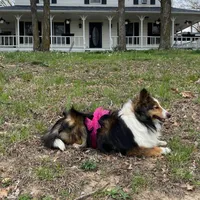 processed/2f173404-3687-4e38-a550-0381d7203226/facility/c5a2e783-0f3e-4735-a702-ed17648b58f8