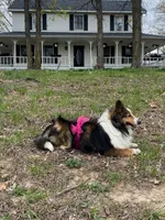 processed/2f173404-3687-4e38-a550-0381d7203226/facility/c5a2e783-0f3e-4735-a702-ed17648b58f8