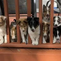 processed/2f173404-3687-4e38-a550-0381d7203226/facility/ed16a09b-306e-4950-a772-29f0f8514990