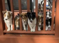 processed/2f173404-3687-4e38-a550-0381d7203226/facility/ed16a09b-306e-4950-a772-29f0f8514990