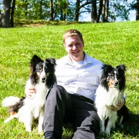 Edmund, a male Shetland Sheepdog for sale in Kirksville, MO – Photo 7 of 7