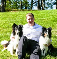 Lucy, a female Shetland Sheepdog for sale in Kirksville, MO – Photo 5 of 5