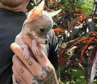 processed/2f224a9e-72cf-4c2b-a9ab-24d031ca7204/facility/2d308190-99f4-4dc0-81d2-0664a40c820e