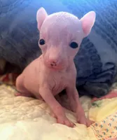 processed/2f224a9e-72cf-4c2b-a9ab-24d031ca7204/facility/2ed6280f-98b9-40d8-aebf-faa3b505398f