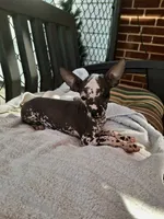 processed/2f224a9e-72cf-4c2b-a9ab-24d031ca7204/facility/500f3629-b0ea-4168-9c7a-5eea68b55423