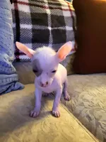 processed/2f224a9e-72cf-4c2b-a9ab-24d031ca7204/facility/681070a3-1c6f-4fc9-a86e-cfae1d94ecac