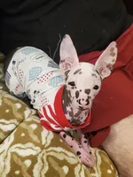 processed/2f224a9e-72cf-4c2b-a9ab-24d031ca7204/facility/978264b4-3b96-48e5-81d0-42641e99bbc9