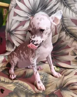 processed/2f224a9e-72cf-4c2b-a9ab-24d031ca7204/facility/b261d73a-9fd8-4c2d-bbe9-860baf270cc2