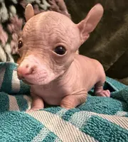 processed/2f224a9e-72cf-4c2b-a9ab-24d031ca7204/listing/4fc7a9fb-8c15-4a10-a163-6ca9d6e5b698/5643e2fe-e77b-4043-ad25-ab30de10cab4