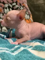 processed/2f224a9e-72cf-4c2b-a9ab-24d031ca7204/listing/4fc7a9fb-8c15-4a10-a163-6ca9d6e5b698/773ecfa1-401e-4964-8276-287542f8cb42