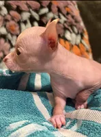 processed/2f224a9e-72cf-4c2b-a9ab-24d031ca7204/listing/4fc7a9fb-8c15-4a10-a163-6ca9d6e5b698/94361a83-fcbb-47b9-9cf0-48b2ded2f32c