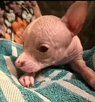 processed/2f224a9e-72cf-4c2b-a9ab-24d031ca7204/listing/4fc7a9fb-8c15-4a10-a163-6ca9d6e5b698/c0667c9b-4359-46c2-ab42-4018bbec6471