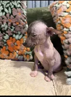 processed/2f224a9e-72cf-4c2b-a9ab-24d031ca7204/listing/a500888b-a7f1-40d5-9a4d-74234e350dbf/3bf73e72-4378-46c9-91de-cd1e5ab42388