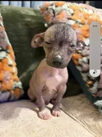 processed/2f224a9e-72cf-4c2b-a9ab-24d031ca7204/listing/a500888b-a7f1-40d5-9a4d-74234e350dbf/8a58dc3d-5961-4421-b4b5-917eacfa5d47