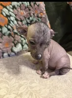 processed/2f224a9e-72cf-4c2b-a9ab-24d031ca7204/listing/a500888b-a7f1-40d5-9a4d-74234e350dbf/b27f0d8b-607e-4464-82e0-b457d5412bba