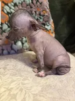 processed/2f224a9e-72cf-4c2b-a9ab-24d031ca7204/listing/a500888b-a7f1-40d5-9a4d-74234e350dbf/ca73b4d3-bd48-4618-b5fc-f8cfebf5474e