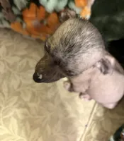 processed/2f224a9e-72cf-4c2b-a9ab-24d031ca7204/listing/a500888b-a7f1-40d5-9a4d-74234e350dbf/e3e0878b-1981-4492-a490-957f44d73835